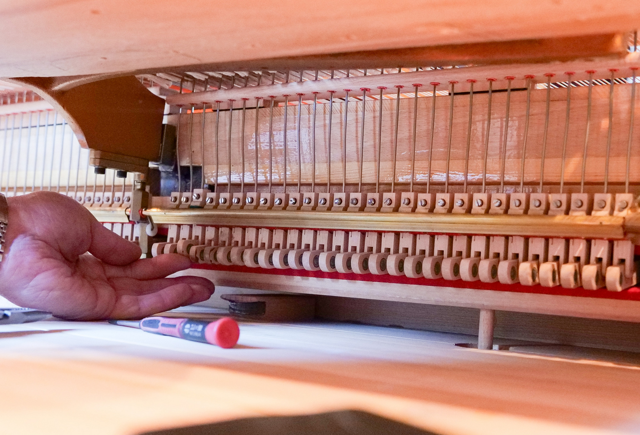 Detail during professional servicing