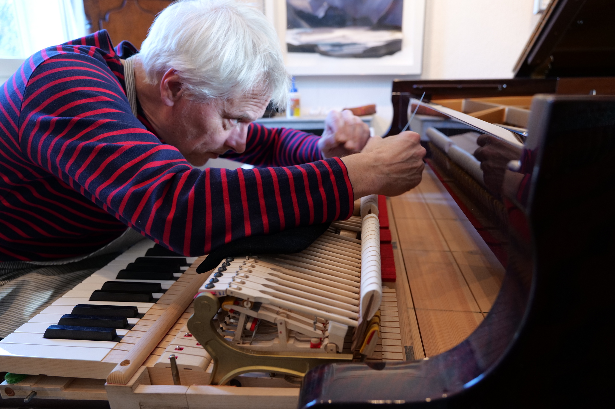 Professional servicing of the Steinway